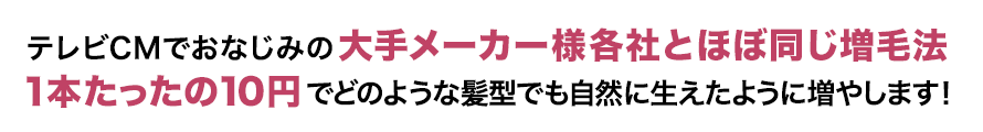 テレビCMでおなじみの大手メーカー様各社とほぼ同じ増毛法 １本たったの10円でどのような髪型でも自然に生えたように増やします！！